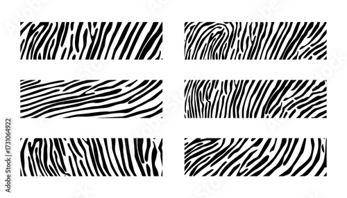 Wood lines texture material doodle hand drawn line set. Rings and circles tree trunk geometric curve, wave contour template