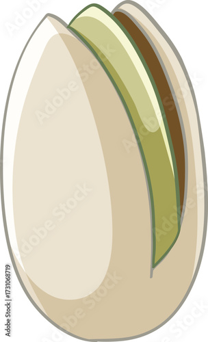 vector illustration of pistachio nut