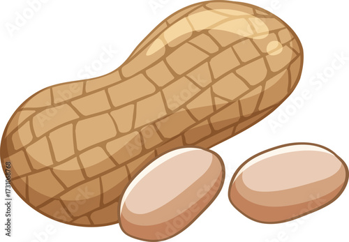 vector illustration of peanuts