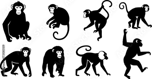 Monkey silhouettes, Monkey silhouette collection, Sitting monkey silhouette, Monkey, Monkey clipart, Monkey vector illustration