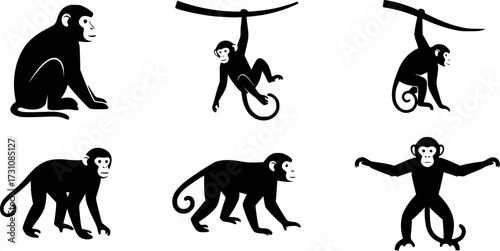 Monkey silhouettes, Monkey silhouette collection, Sitting monkey silhouette, Monkey, Monkey clipart, Monkey vector illustration