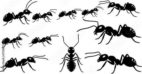 Ants silhouette, Ant clipart, Ants , Ant silhouette set, Ants vector set, Ant crawling silhouette.