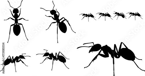 Ants silhouette, Ant clipart, Ants , Ant silhouette set, Ants vector set, Ant crawling silhouette.