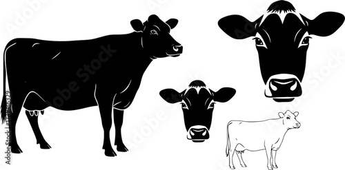 Jersey cow , Jersey cow silhouette, Jersey cow vector, Jersey cow clipart, Cow, Cow silhouette