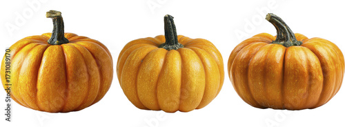 Three vibrant orange pumpkins with natural stems on a transparent background, PNG image