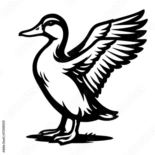Duck Vector Illustration - Bird with Spread Wings