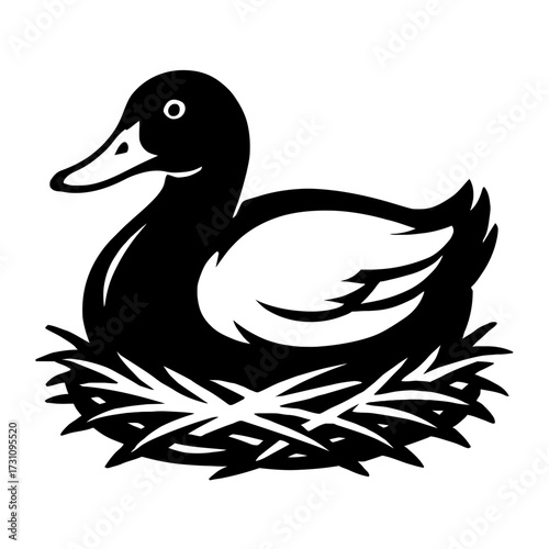 Duck Vector Illustration - Bird on a Nest