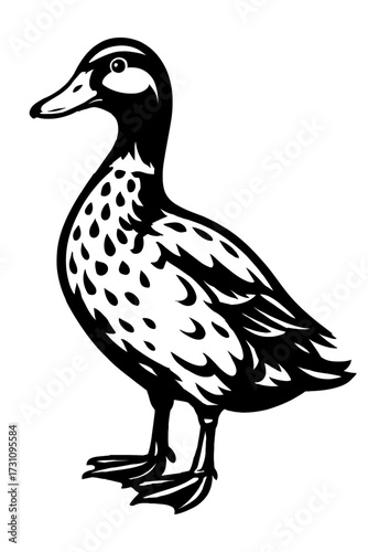 Duck Vector Illustration - Spotted Bird Graphic