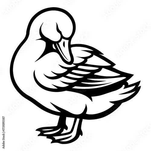 Duck Vector Illustration Grooming Its Feathers