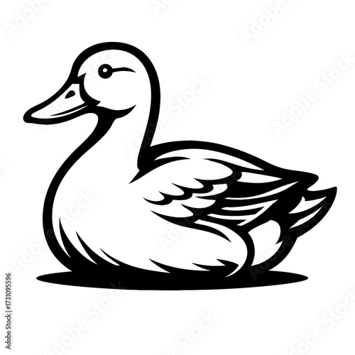 Duck Vector Illustration of a Bird Floating on Water