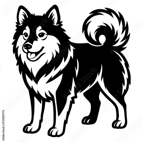 Finnish Lapphund Dog Vector Illustration - Fluffy Herding Breed Graphic