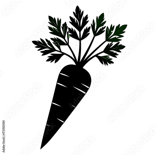 Fresh Carrot Root Vegetable.