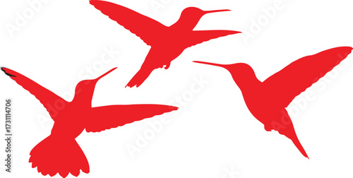 Red hummingbirds flying in a white background design