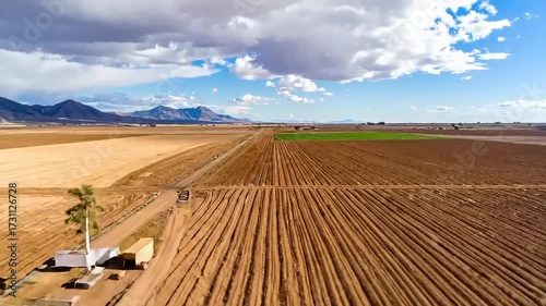 Agricultural field landscape with rows under a cloudy sky