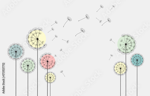Vector illustration dandelion seed blowing in the wind.