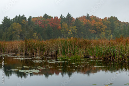 North Frontenac, Cruse Bay, Canonto, Ontario Canada in fall colours