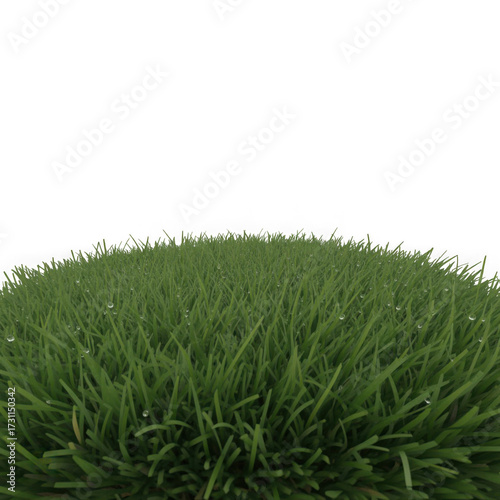 green grass turf isolated on white background