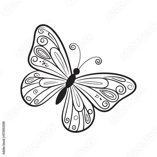 butterfly on a white background