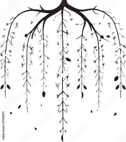  Blooming Golden Shower Tree Silhouette Vector Illustration