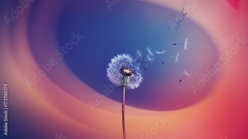 Dandelion seed head dispersing seeds against a colorful abstract background dispersal flying