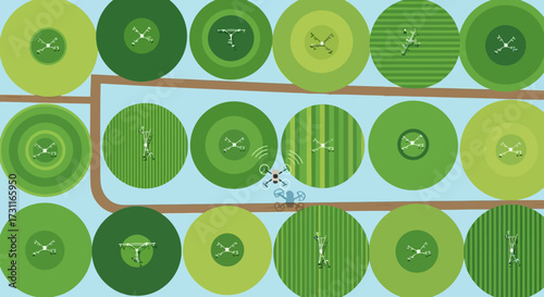 Collection of green buttons with different textures and patterns.
