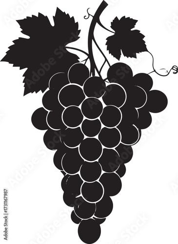  Fresh Grapes Silhouette Vector Illustration