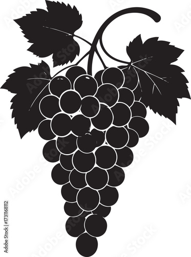  Fresh Grapes Silhouette Vector Illustration