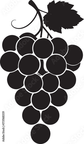  Fresh Grapes Silhouette Vector Illustration