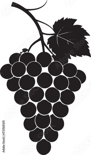  Fresh Grapes Silhouette Vector Illustration