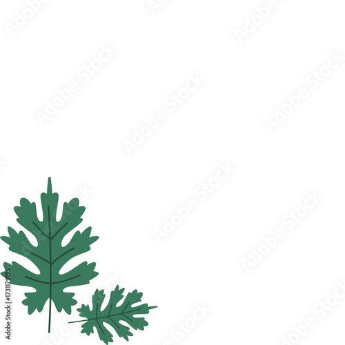 Textured oak leaf corner accent with muted green tones, adding rustic charm to wedding, nature, or vintage designs.
