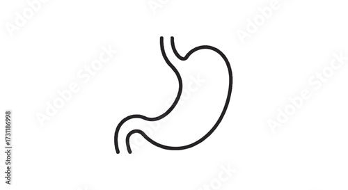 A clean and simple vector line art icon of a human stomach, representing digestion and gastrointestinal health, isolated on a background for medical and anatomical educational purposes.