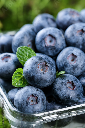 Fresh Alpine Blueberries from Peru in Container with Green Leaves - Imported Organic Fruit