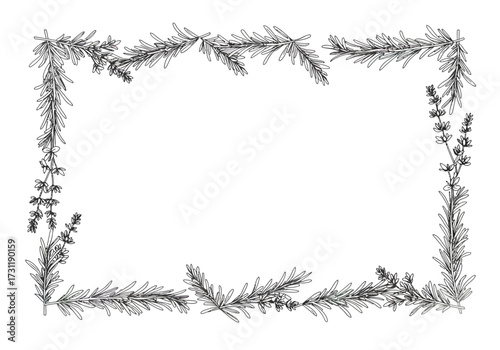 Rosemary and Lavender Frame Illustration.