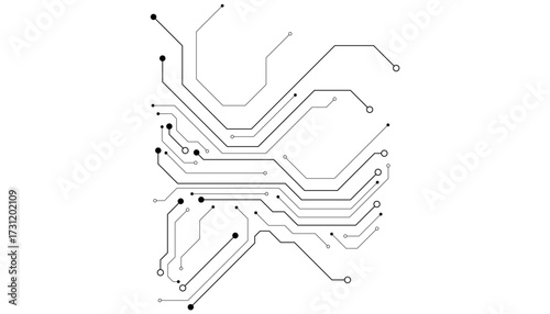 Technology black circuit diagram concept.High-tech circuit board connection system.Vector abstract technology on white background.black and white sketch of a horse