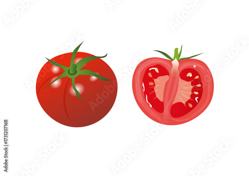 トマト 野菜 イラスト ベクター