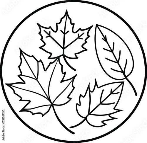 Autumn leaves arranged in a decorative circular design