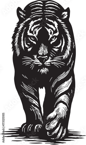 Intense black and white woodcut style illustration of a fierce tiger staring directly forward