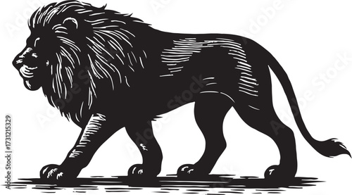 Majestic black silhouette of a powerful male lion walking confidently with a full mane