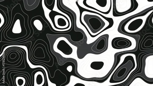 Black and White Abstract Topographic Contour Pattern