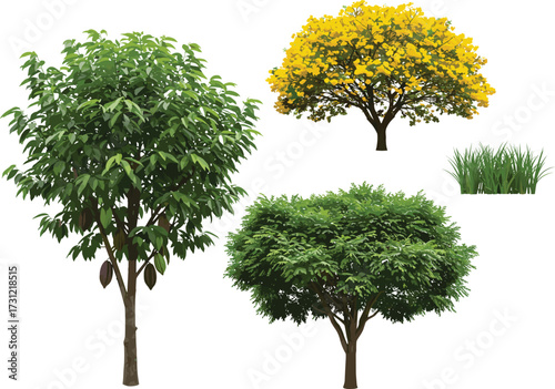 Cacao tree with brown pods, yellow flowering tree illustration, lush green foliage tree, tall grass vegetation patch, seasonal botanical landscape design