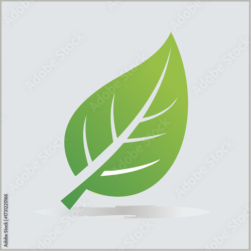 A simple green leaf with visible veins and a short stem, showcasing a natural and fresh appearance