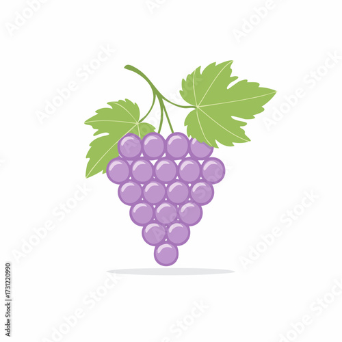 Cluster of purple grapes with two green leaves attached to the stem