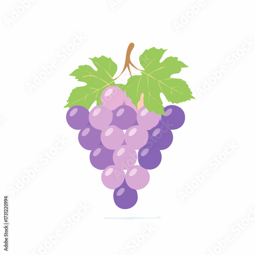 A cluster of purple grapes with a brown stem and two green grape leaves attached at the top