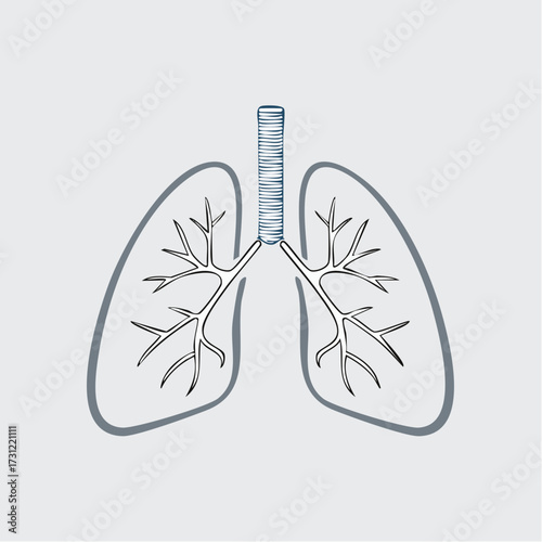 Simplified illustration of human lungs showing the trachea, bronchi, and branching bronchioles within the lung outline