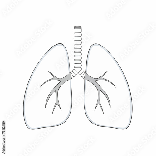 Simplified illustration of human lungs showing the trachea, bronchi, and lung lobes in a minimalistic, outlined style