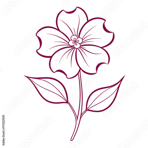 nemesia poetry  pink flower line art vector on white