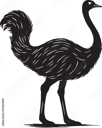Detailed black silhouette of a large flightless bird with long neck and legs standing on a white background