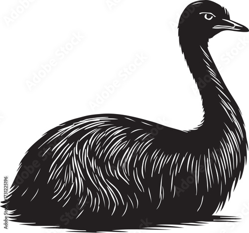 Detailed black and white illustration of a large flightless emu bird sitting calmly with its neck extended and head turned