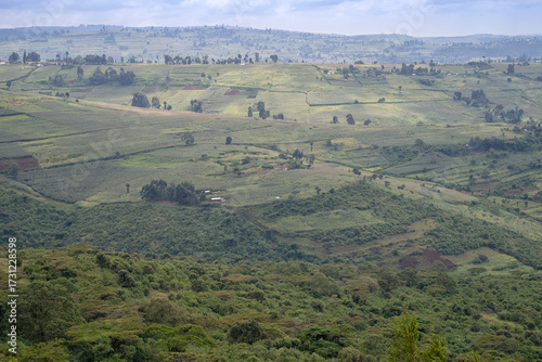 Mount Elgon forest meets farmland: maize fields and coffee plantations bordering tropical forest, Kenya/Uganda.