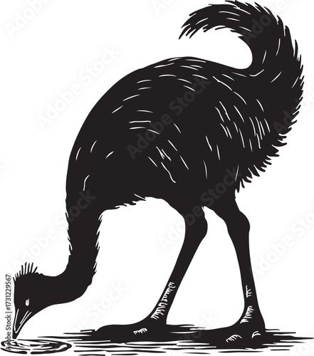 Silhouette of a large flightless bird an emu or ostrich with its head down foraging for food on the ground